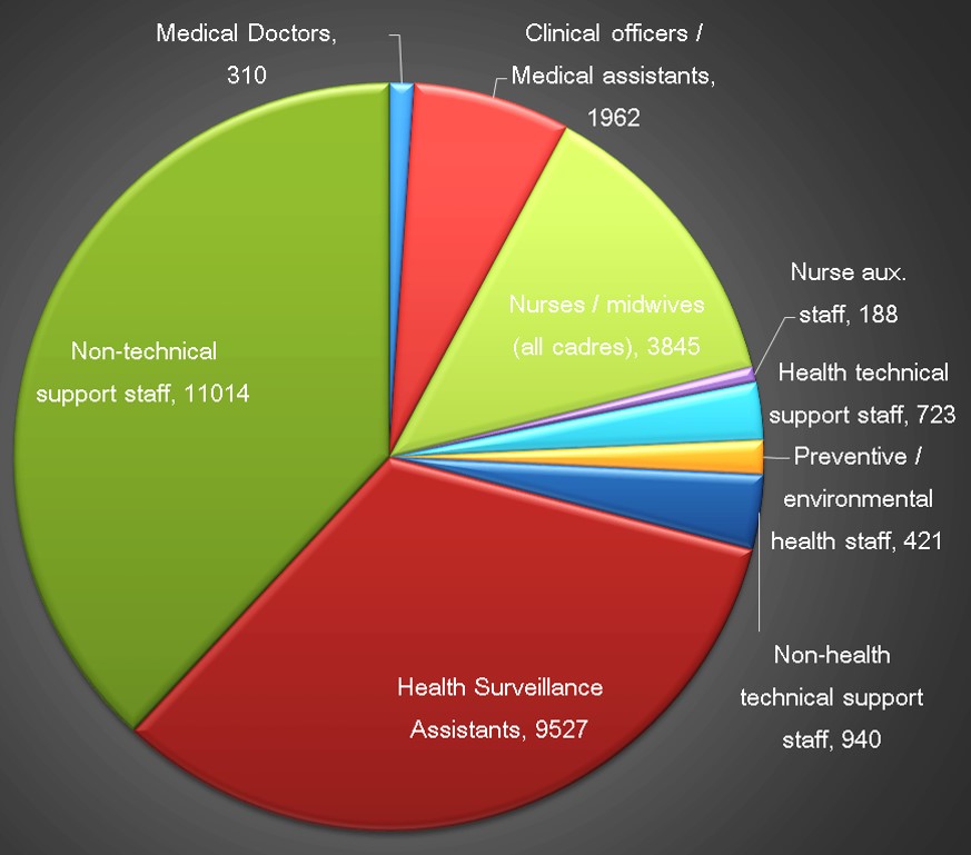 Pie chart of MOH staff by cardre